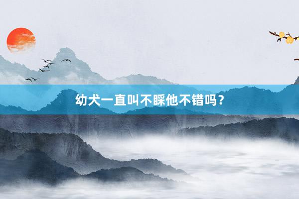 幼犬一直叫不睬他不错吗？