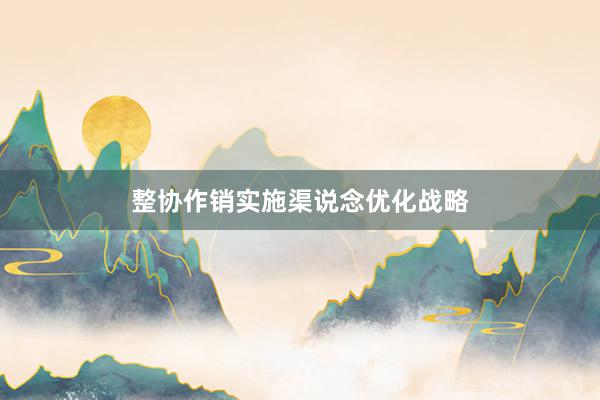 整协作销实施渠说念优化战略